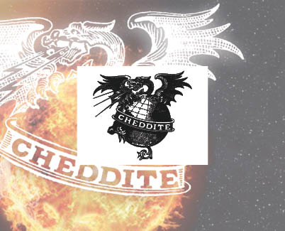 Fidelizzazione B2B con App White Label Cheddite Dragon Team